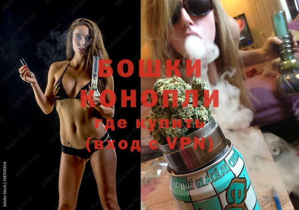 дживик Россошь